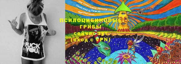 мдпв Балабаново