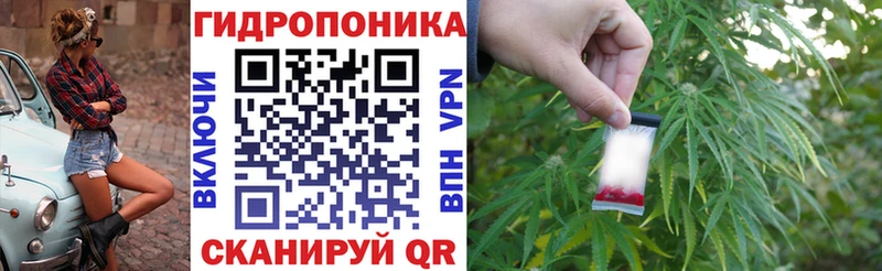 площадка клад  как найти   Гаврилов-Ям  Канабис Bruce Banner 